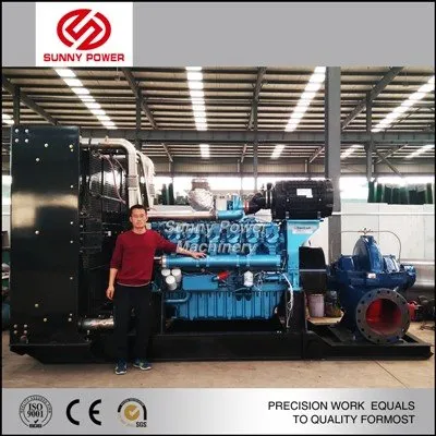 Susuzlaştırma Madencilik Pompası