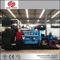 Susuzlaştırma Madencilik Pompası